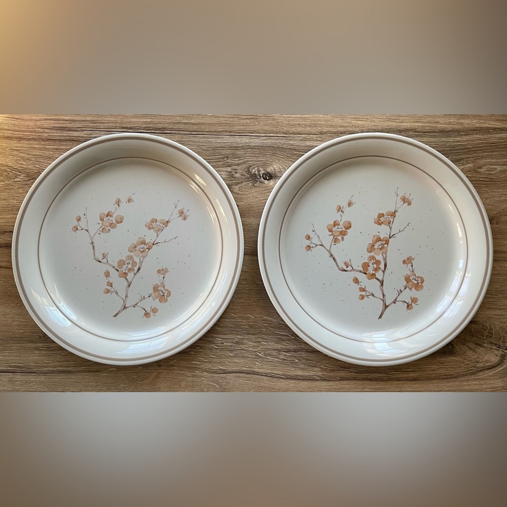 Vintage CORNERSTONE By Corning China Blossom Set of 2 8.5” Salad Dessert Plates